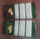 C3 - Grade militare - mozaic padure - plutonier major tancuri