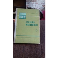 ZOOLOGIA VERTEBRATELOR. LUCRARI PRACTICE - M. TEODOREANU