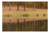 Tablou Canvas, "Reflecțiile pădurii &icirc;n apa calmă", Reflecție, Toamnă, Liniște, Natură, Pădure, Lac, Frunze, 39 x 26 cm, CMCLASS