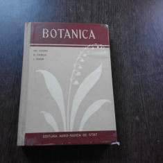 BOTANICA - GH. ANGHEL