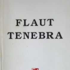 Flaut tenebra- Alexandra Tacu Zeletin