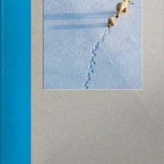 Lonely Planet Small Notebook - Polar Bear | Lonely Planet