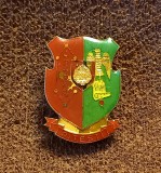 Insigna - heraldica - comunism - stema orasului PITESTI