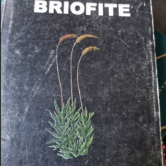 Gheorghe Mohan, Aurel Ardelean - Briofite. Determinator Ilustrat din Flora Romaniei