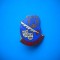 HOPCT ROMANIA INSIGNA PIONIER TOT INAINTE [ ARTA] [ 3 ] EMAIL RPR