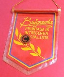 Fanion &quot;Brigada Fruntasa in Intrecerea Socialista&quot; + o Insigna &quot;CERCUL CALITATII&quot;