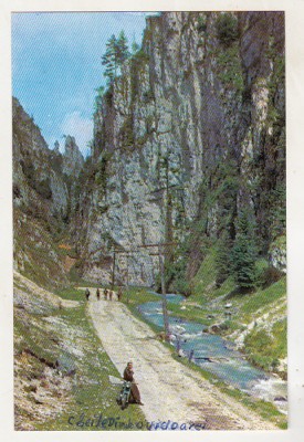bnk cp Cheile Dambovicioarei - Vedere - uzata foto