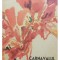 Silvia C. Negru - Carnavalul florilor (Editia: 1985)