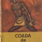 Coada de Ybumbuni