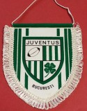 Fanion Rugby - JUVENTUS BUCURESTI