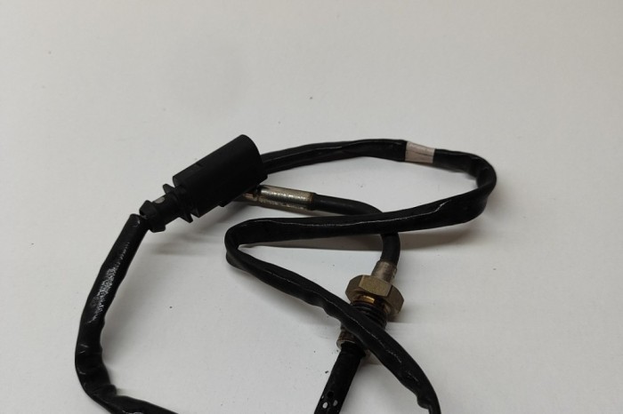 Senzor de temperatură AUDI A6 Avant 4G5, C7, 4GD 2014 OEM: 4G0906088J | 22294067
