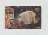 bnk card Cartele telefonice - Costa Rica - ICE - Pez Angel (I emisi&oacute;n) - Col:CR-ICE-CHP-0045, MV :CR-C-45