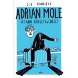 Adrian Mole &uacute;jabb k&iacute;nszenved&eacute;sei - Sue Townsend