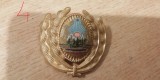 QW14 - Emblema militara / cuc - uscat - comunism - piesa de colectie