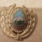 QW14 - Emblema militara / cuc - uscat - comunism - piesa de colectie