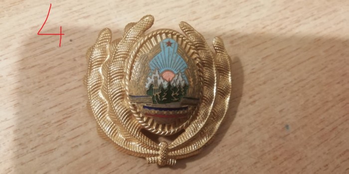 QW14 - Emblema militara / cuc - uscat - comunism - piesa de colectie
