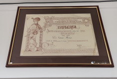 Diploma Societatea Tinerimea Romana - Dorohoi 1935 Mihai Viteazu foto