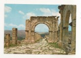 FA70-Carte Postala- ALGERIA - Djemila, Roman Ruins, circulata 1973