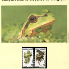 Belgia 2000-Amfibieni și reptile din Belgia, set WWF,6 poze,MNH(vezi descrierea)
