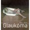 Glauk&oacute;ma - &Aacute;fra J&aacute;nos