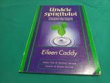 UNDELE SPIRITULUI * EILEEN CADDY / 1998 / 4 4 4/5