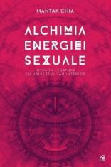 Alchimia energiei sexuale. Intra in legatura cu universul tau interior/Mantak Chia foto