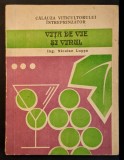 VITA de VIE si VINUL - Calauza Viticultorului, Nicolae Lupsa, 1992 - Viticultura, Vin, Cultivare