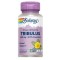 Tribulus Fruit Extract 450 miligrame 60 capsule vegetale Secom