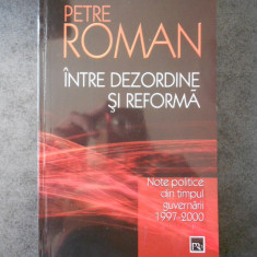 PETRE ROMAN - INTRE DEZORDINE SI REFORMA