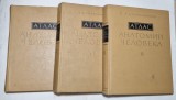 ATLAS DE ANATOMIE UMANA - EDITIE IN LIMBA RUSA - R. D. SINELNIKOV , 3 VOLUME , 1967 - 1974