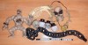 Horror Set1 S Mumie Halloween Cranii joben Craniu lemn Nosferatu Medalion Colti