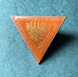 Insigna Festivalul pioneresc al sporturilor de iarna Vatra Dornei 1935