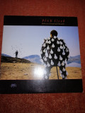 Pink Floyd Delicate Sound of Thunder Gong 1989 HU vinil vinyl