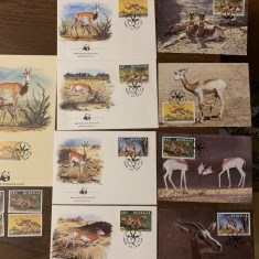 senegal - serie 4 timbre MNH, 4 FDC, 4 maxime, fauna wwf