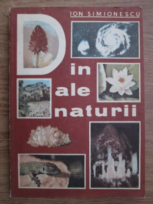 Ion Simionescu - Din ale naturii foto