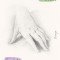 A Left-Handed Woman: Essays
