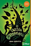 O oglindă grimminală (Vol. 2) - Adam Gidwitz