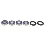 Cumpara ieftin Kit Rulmenti Roata spate Honda CBR 1000RR 600RR All Balls 25-1492