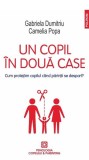 Un copil &icirc;n două case - Paperback brosat - Gabriela Dumitriu, Camelia Popa - Polirom