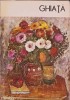 Ghiață, Ioana Vlasiu, 1985, Meridiane, Biblioteca de Artă, Carte Artă, Album, Pictură, Artă Rom&acirc;nească