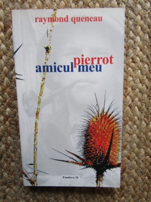 Raymond Queneau - Pierrot, amicul meu foto