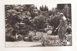 RF122 - Carte Postala - Cluj. Gradina botanica, necirculata
