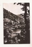 RF168 - Carte Postala - Valea Oltului la Cornet, circulata 1965