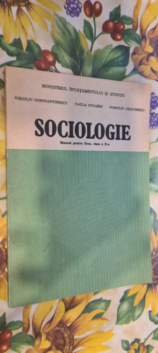 Virgiliu Constantinescu - Sociologie manual cls X