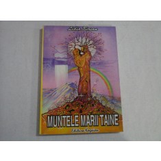 MUNTELE MARII TAINE - LIDIA BIRSAN