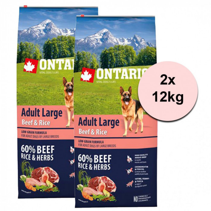 ONTARIO Adult Large Beef &amp;amp; Rice 2 x 12kg