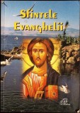 SFINTELE EVANGHELII-COLECTIV-357443