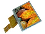 Afișaj TFT 5" 800x480 LED RGB