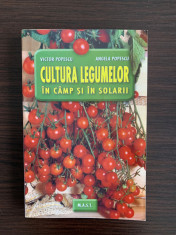 Cultura legumelor in camp ?i in solarii foto