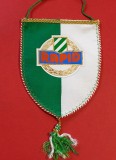 Fanion fotbal - SK RAPID VIENA (Austria)